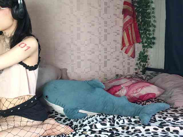 SofiaSocks webcam