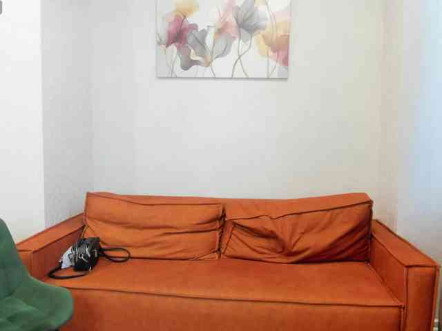 Goar-greatee webcam