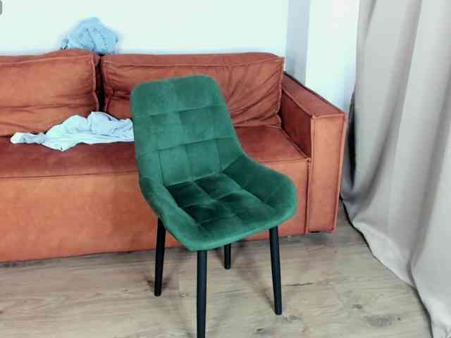 Goar-greatee webcam