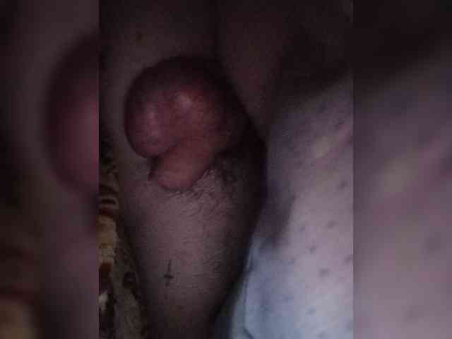 Monkey02