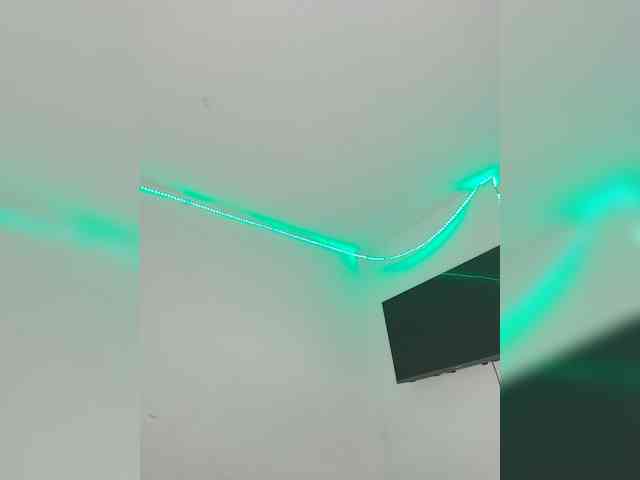 Kyra-1-1 webcam