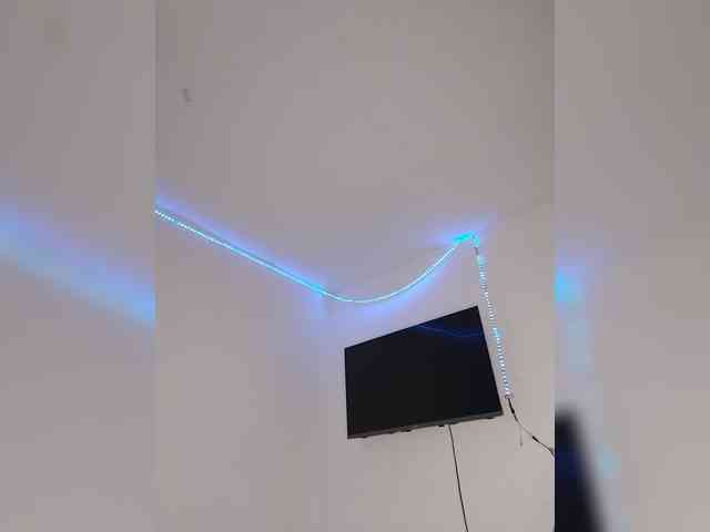 Kyra-1-1 webcam