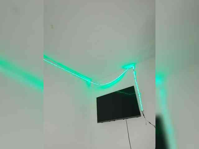 Kyra-1-1 webcam
