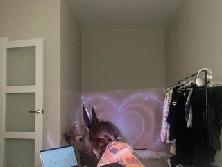 Teddy_Bunny