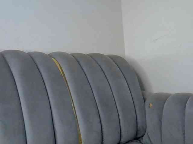 Deyse webcam