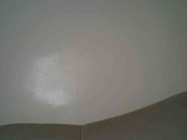 Deyse webcam