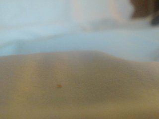 JennyRose1985 Porn Show