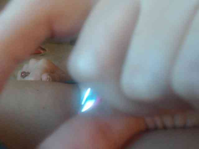 JennyRose1985 webcam