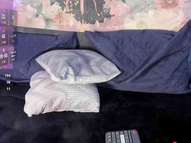 dennis-smys webcam