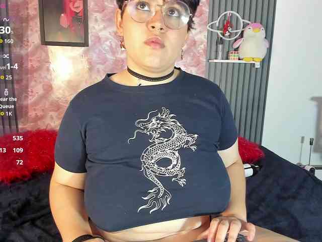 dennis-smys webcam