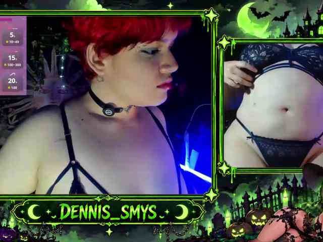 dennis-smys webcam
