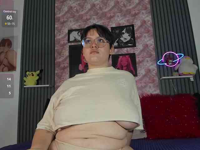 dennis-smys webcam