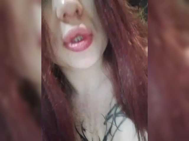 Dixsi77