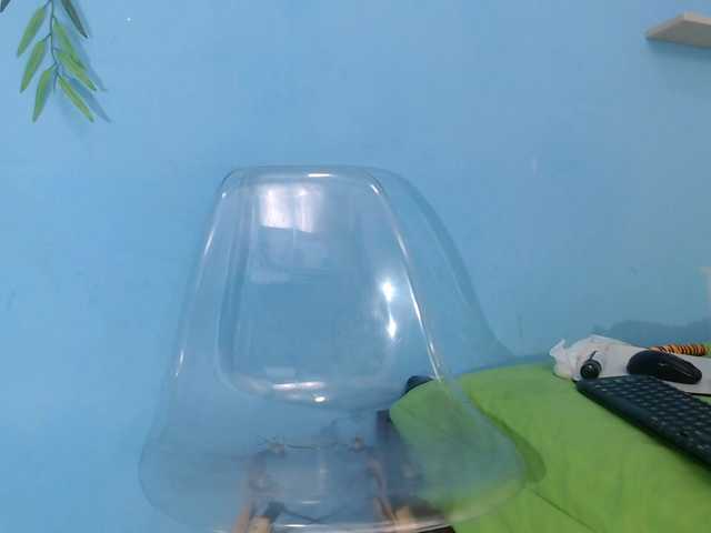 skinnysofia18 live cam on BongaCams