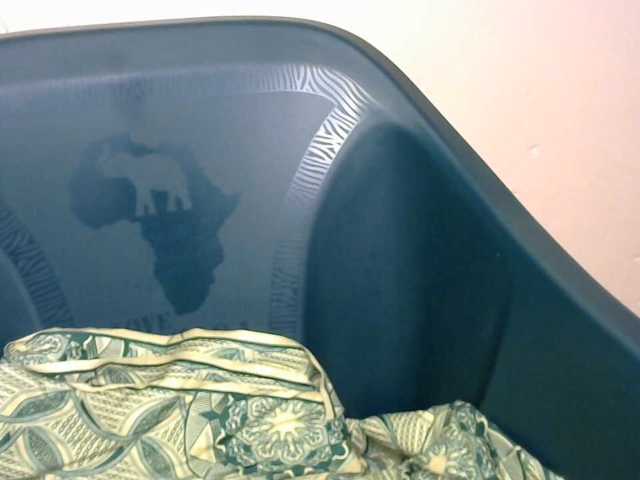 Drippypussy07 live cam preview