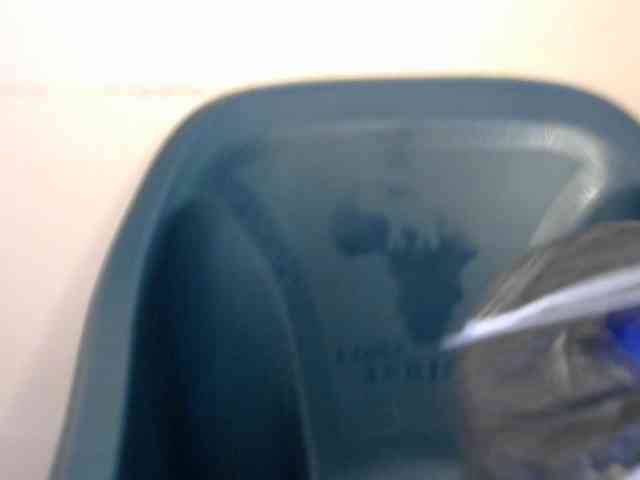 Drippypussy07 webcam