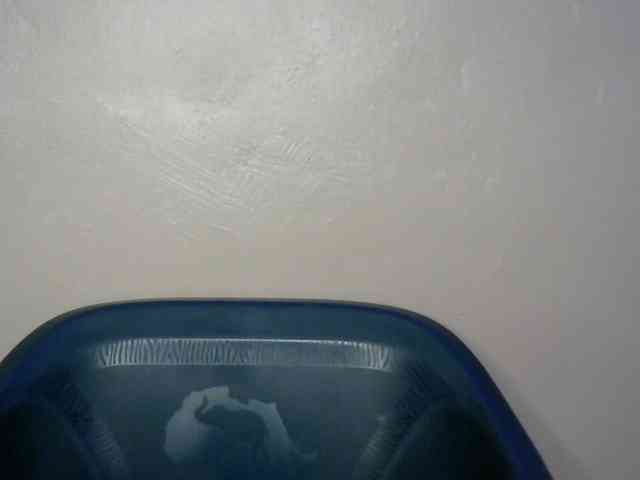 Drippypussy07 webcam