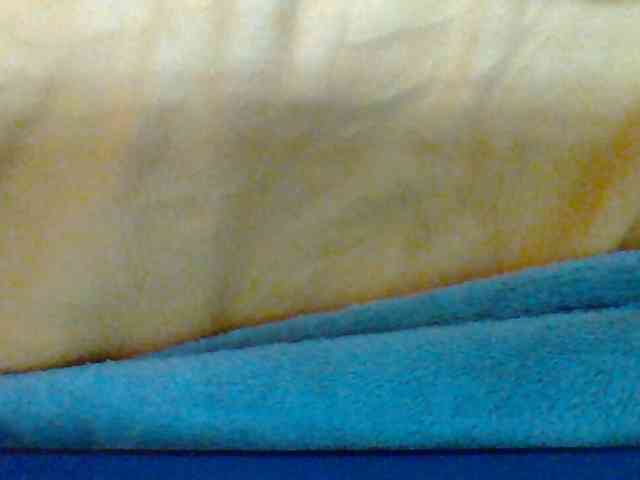 Tryciah1a webcam
