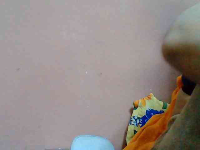 Tryciah1a webcam