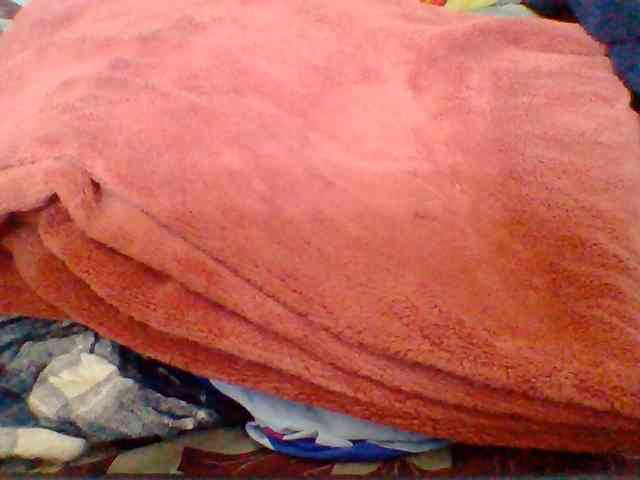 Tryciah1a webcam