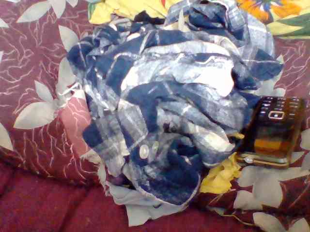 Tryciah1a webcam