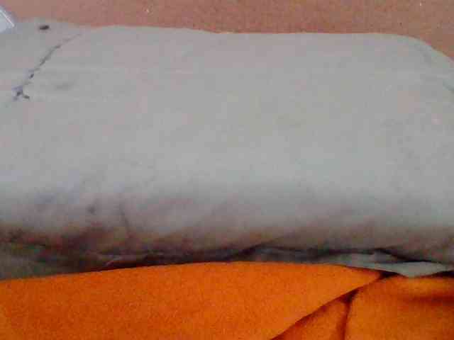 Tryciah1a webcam