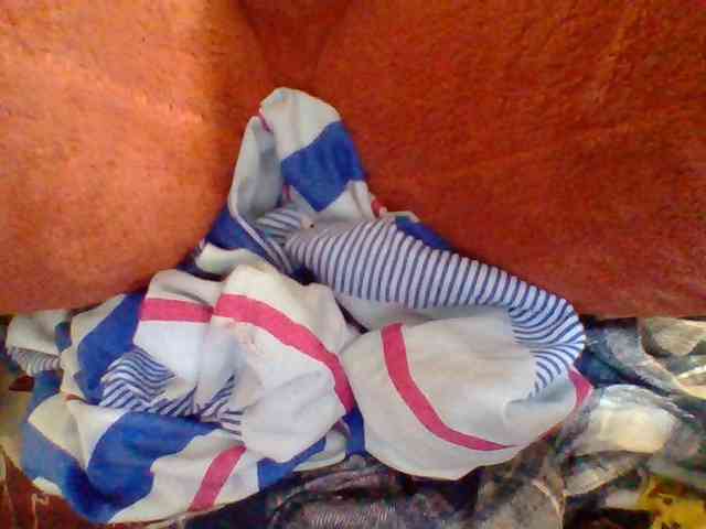 Tryciah1a webcam
