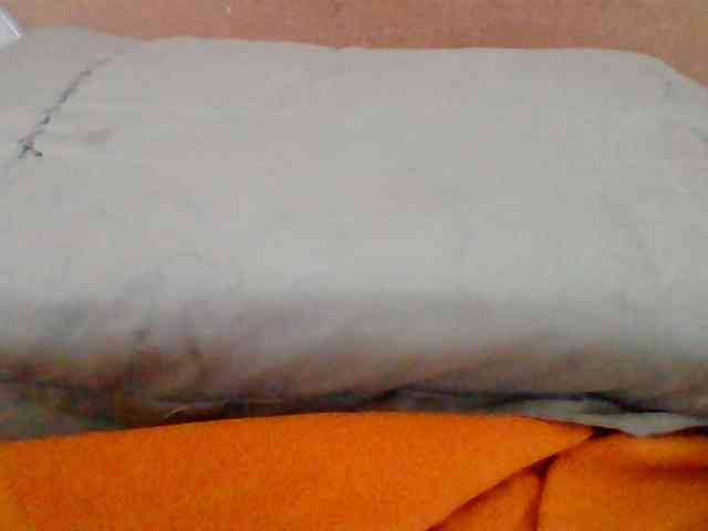 Tryciah1a webcam