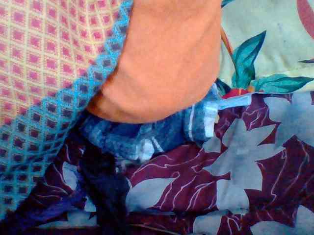 Tryciah1a webcam