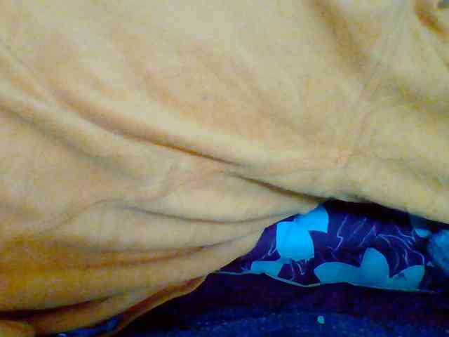 Tryciah1a webcam