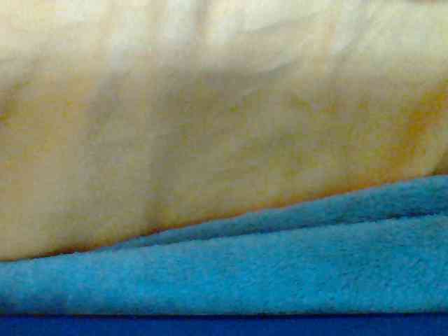 Tryciah1a webcam