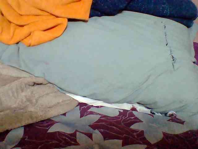 Tryciah1a webcam