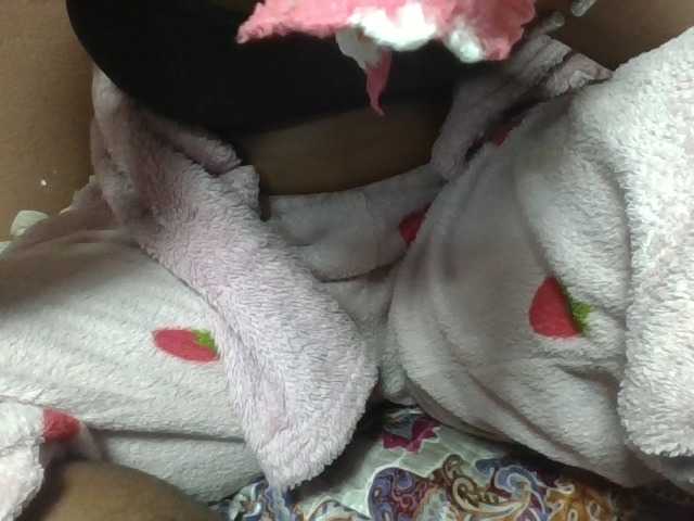 Elynah1a