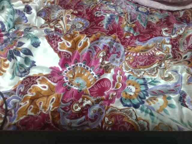 Elynah1a webcam