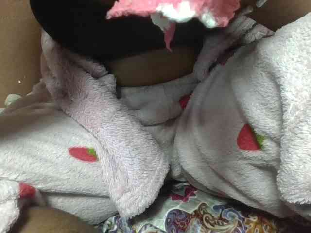 Elynah1a webcam