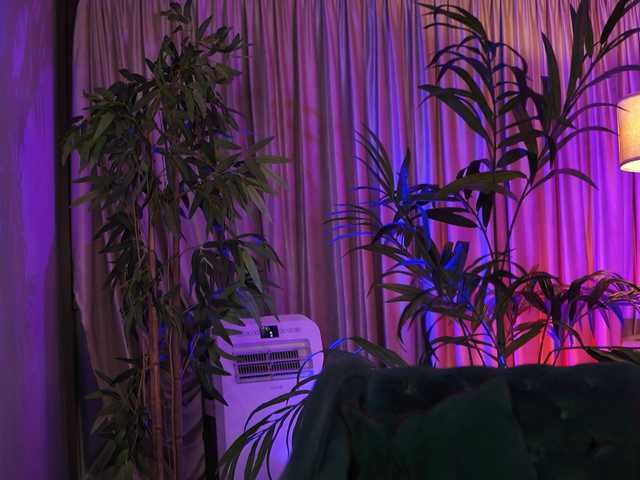 SalmaJade live cam on BongaCams