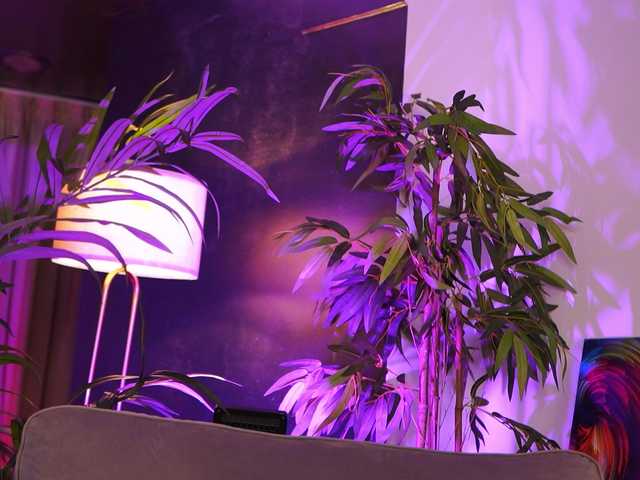 SalmaJade live cam