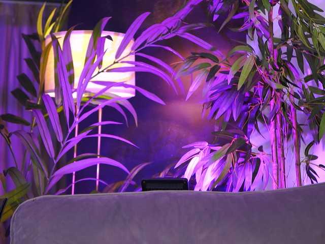 SalmaJade live cam on BongaCams
