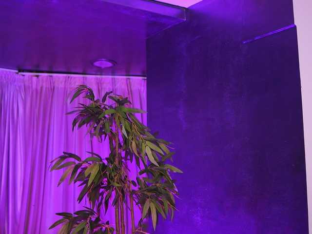 SalmaJade live cam on BongaCams