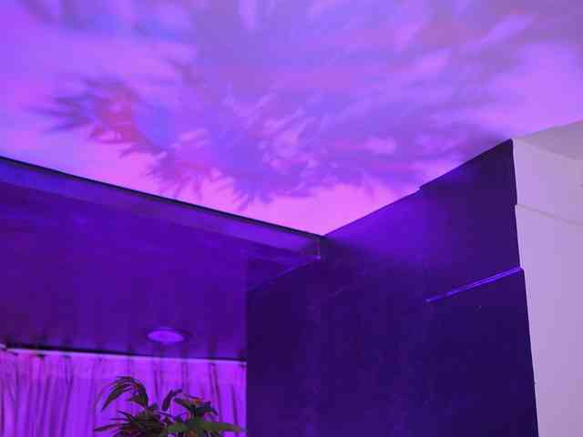 SalmaJade Live Webcam on BongaCams