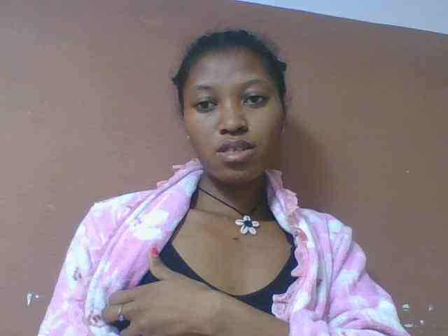 Sibelia1 webcam