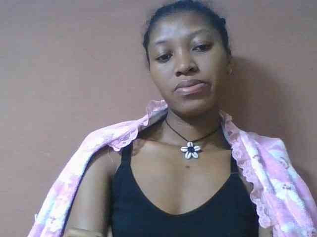 Sibelia1 webcam