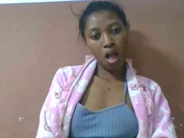 Sibelia1 webcam