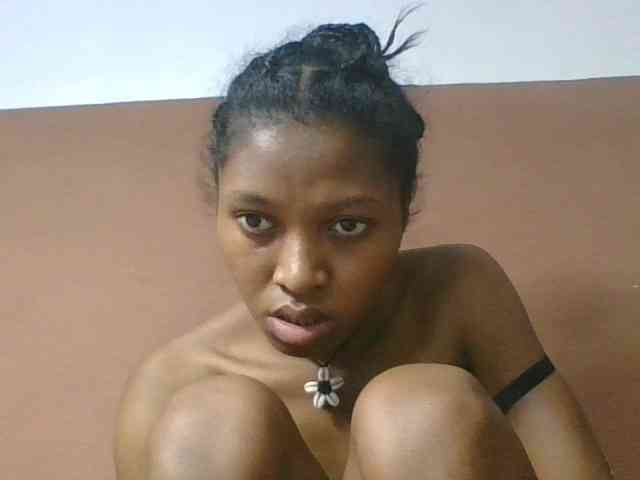 Sibelia1 webcam