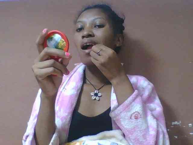 Sibelia1 webcam