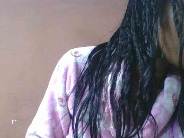 Sibelia1 webcam