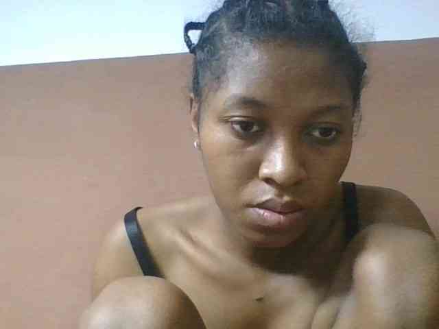 Sibelia1 webcam