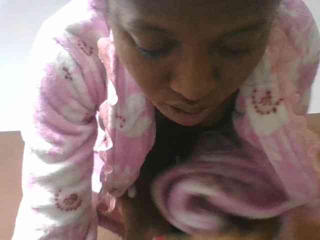 Sibelia1 webcam
