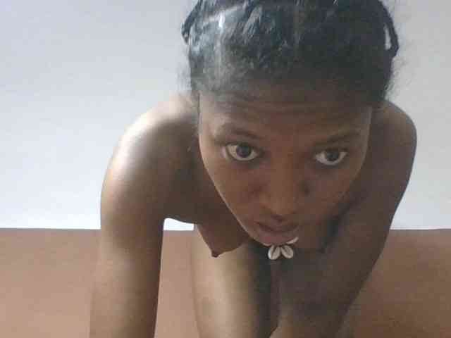 Sibelia1 webcam