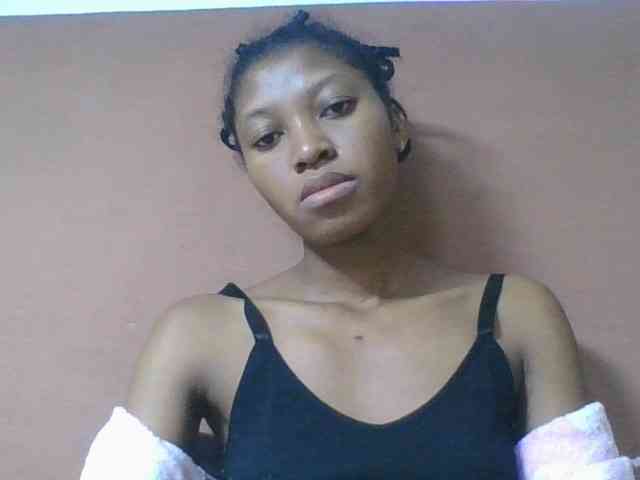 Sibelia1 webcam